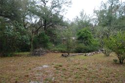 Picture of 16301 NE 138Th Court, Fort Mc Coy, FL 32134