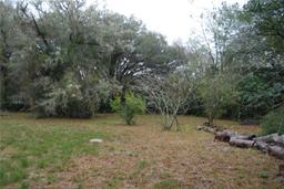 Picture of 16301 NE 138Th Court, Fort Mc Coy, FL 32134