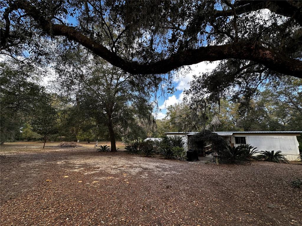 Picture of 12212 NE 238Th Terrace, Salt Springs, FL 32134