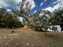 Picture of 12212 NE 238Th Terrace, Salt Springs, FL 32134