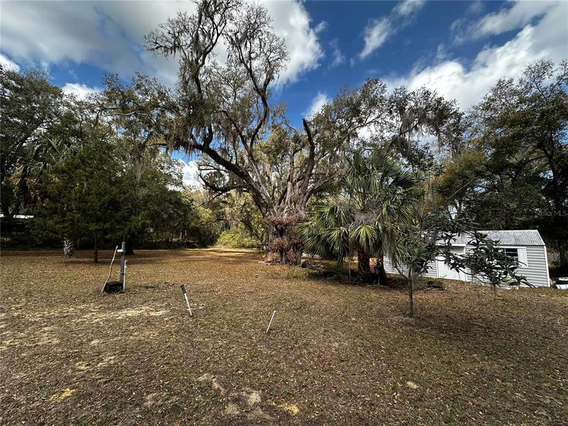 Picture of 12212 NE 238Th Terrace, Salt Springs FL 32134