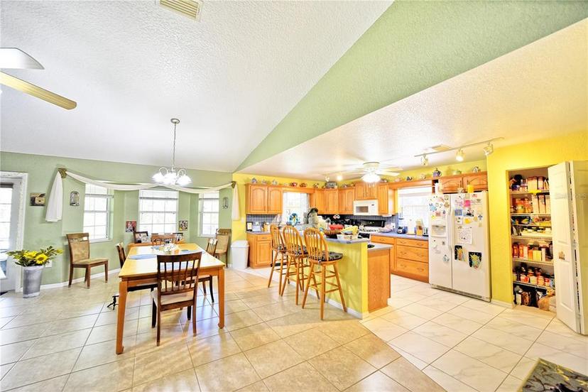 Picture of 9795 NE 303Rd Avenue, Salt Springs FL 32134