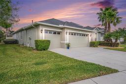 Picture of 3417 Diamond Falls Circle, Land O Lakes, FL 34638