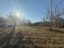 Picture of 15953 W State Road 238, Lake Butler, FL 32054