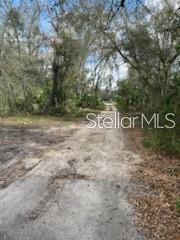 Picture of 11616 Bullfrog Creek Road, Gibsonton FL 33534