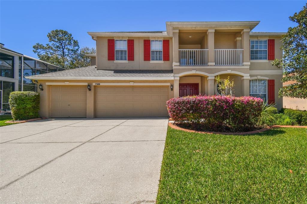 Picture of 7309 Night Heron Drive, Land O Lakes, FL 34637