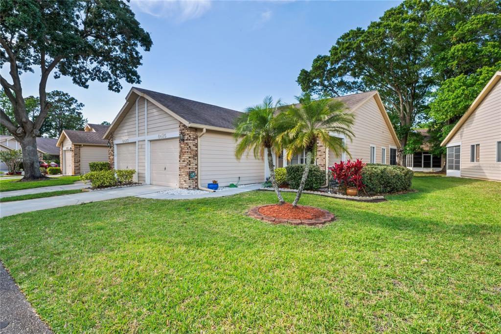 Picture of 6425 Thicket Trail, New Port Richey, FL 34653