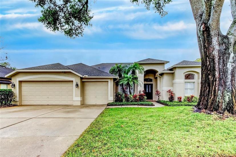 Picture of 17320 Hubers Court, Odessa FL 33556