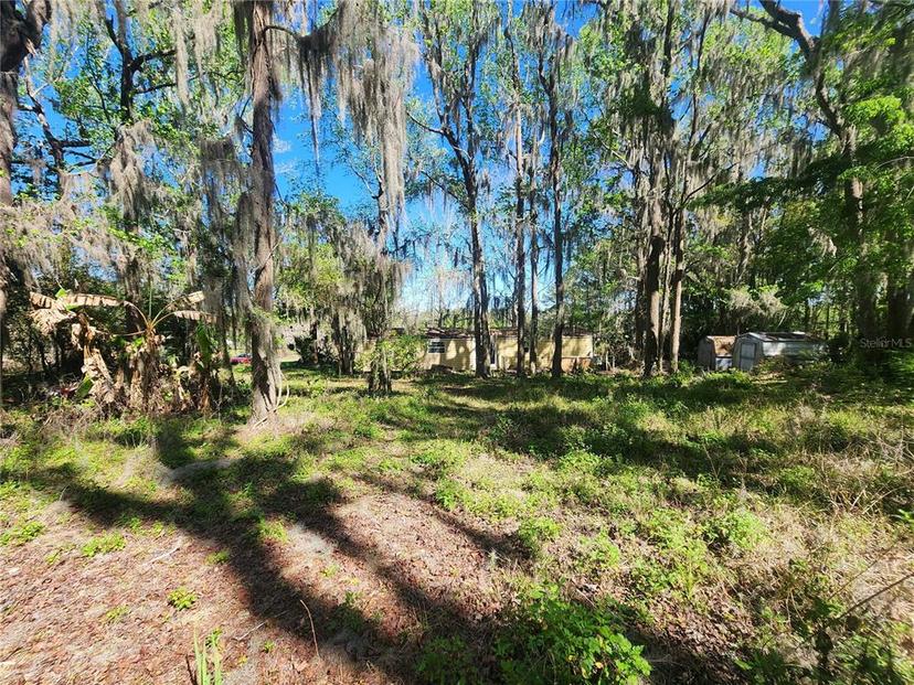 Picture of 19040 NW 60Th Avenue, Reddick FL 32686